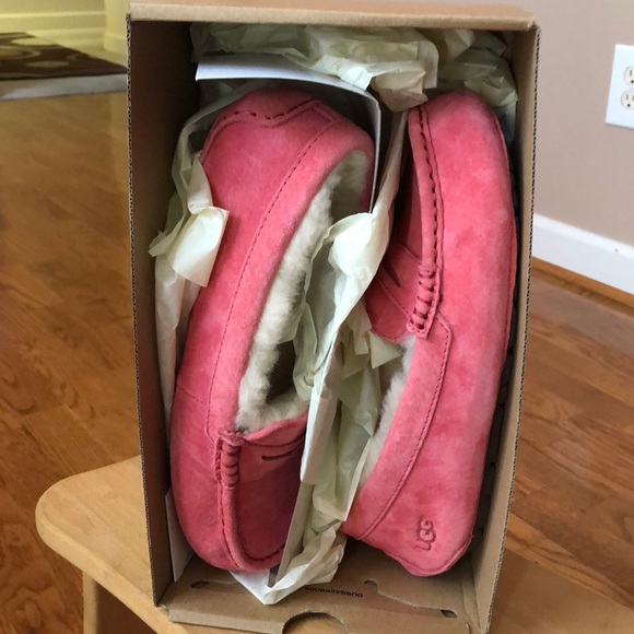 UGG Shoes - Ugg Violette Slippers